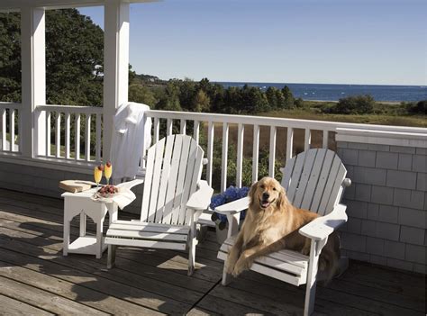 pet friendly.hotels near me|hotels near me pet friendly with indoor pool.